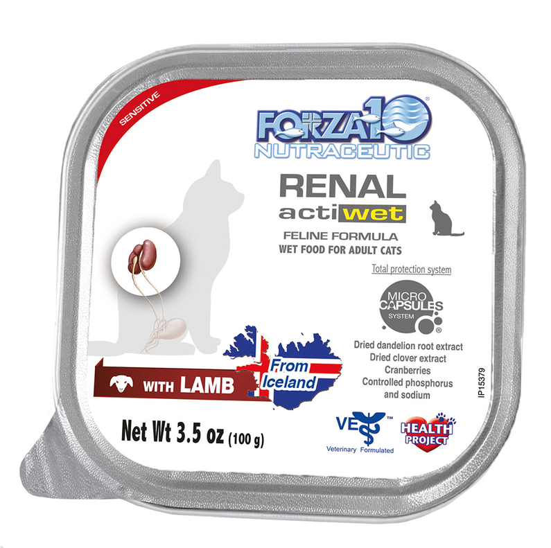 Forza10 Actiwet Renal Support Wet Cat Food – Salmon & Lamb, 32 Pack