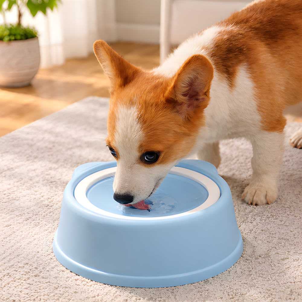 AquaGlide │ Anti Spill Floating Pet Water Bowl