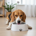 AquaGuard │ No Spill Dog Water Bowl