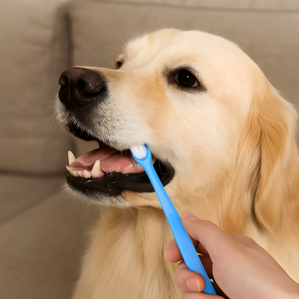 CleanCurve │ 360 Dog Toothbrush (3-Pack)