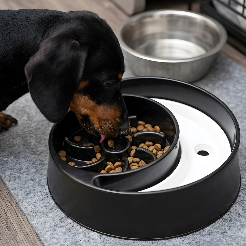 FlowFeast │ Slow Feeding Dog Bowl
