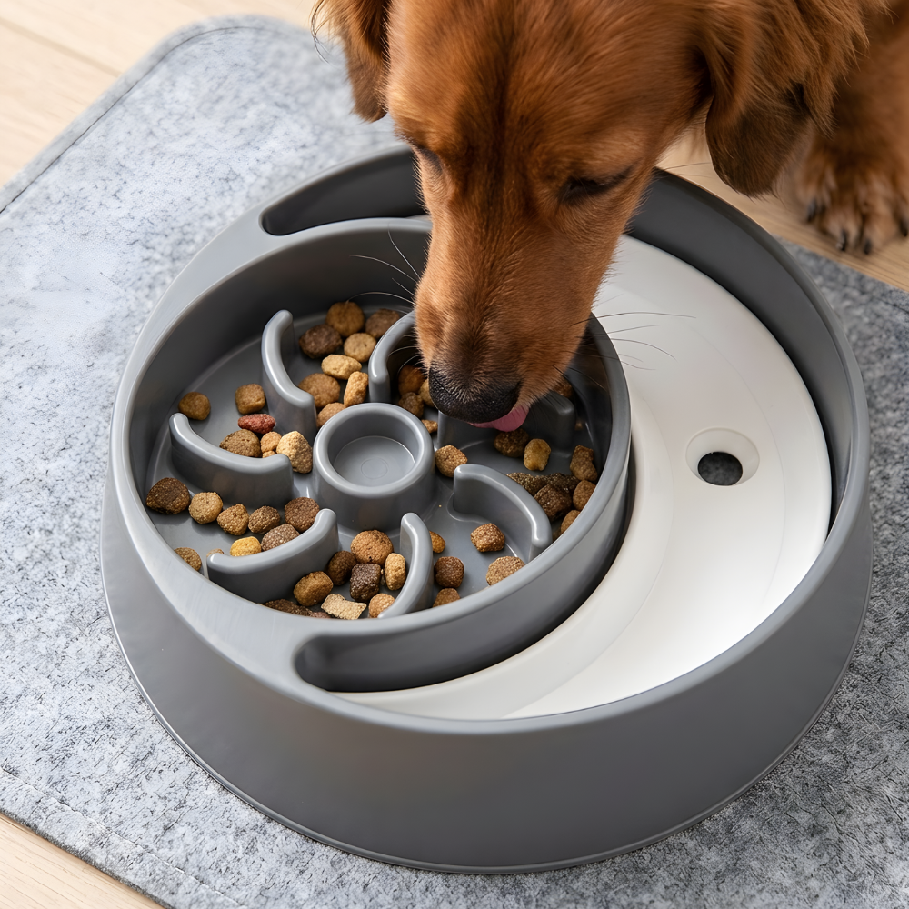 FlowFeast │ Slow Feeding Dog Bowl