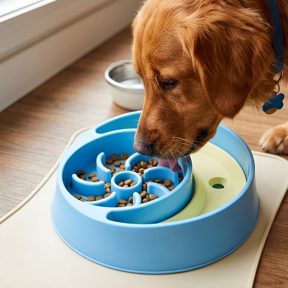 FlowFeast │ Slow Feeding Dog Bowl