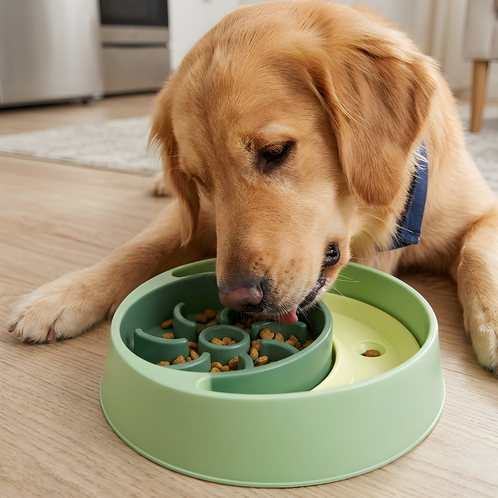 FlowFeast │ Slow Feeding Dog Bowl