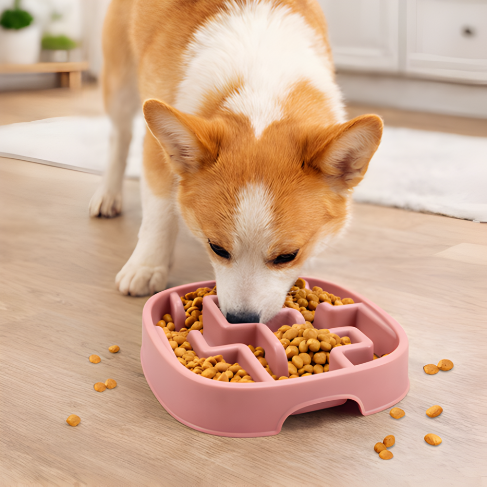 MazeMunch │ Slow Feed Dog Bowl
