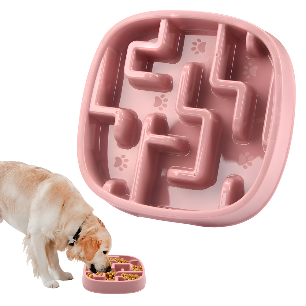 MazeMunch │ Slow Feed Dog Bowl