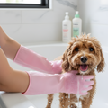 PawPolish │ Silicone Deshedding & Grooming Gloves for Dogs