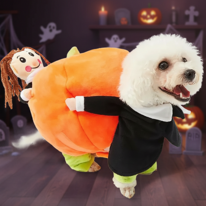PumpkinRider │ Dog Halloween Costume