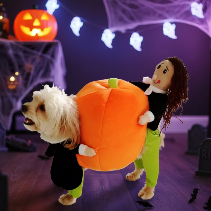 PumpkinRider │ Dog Halloween Costume