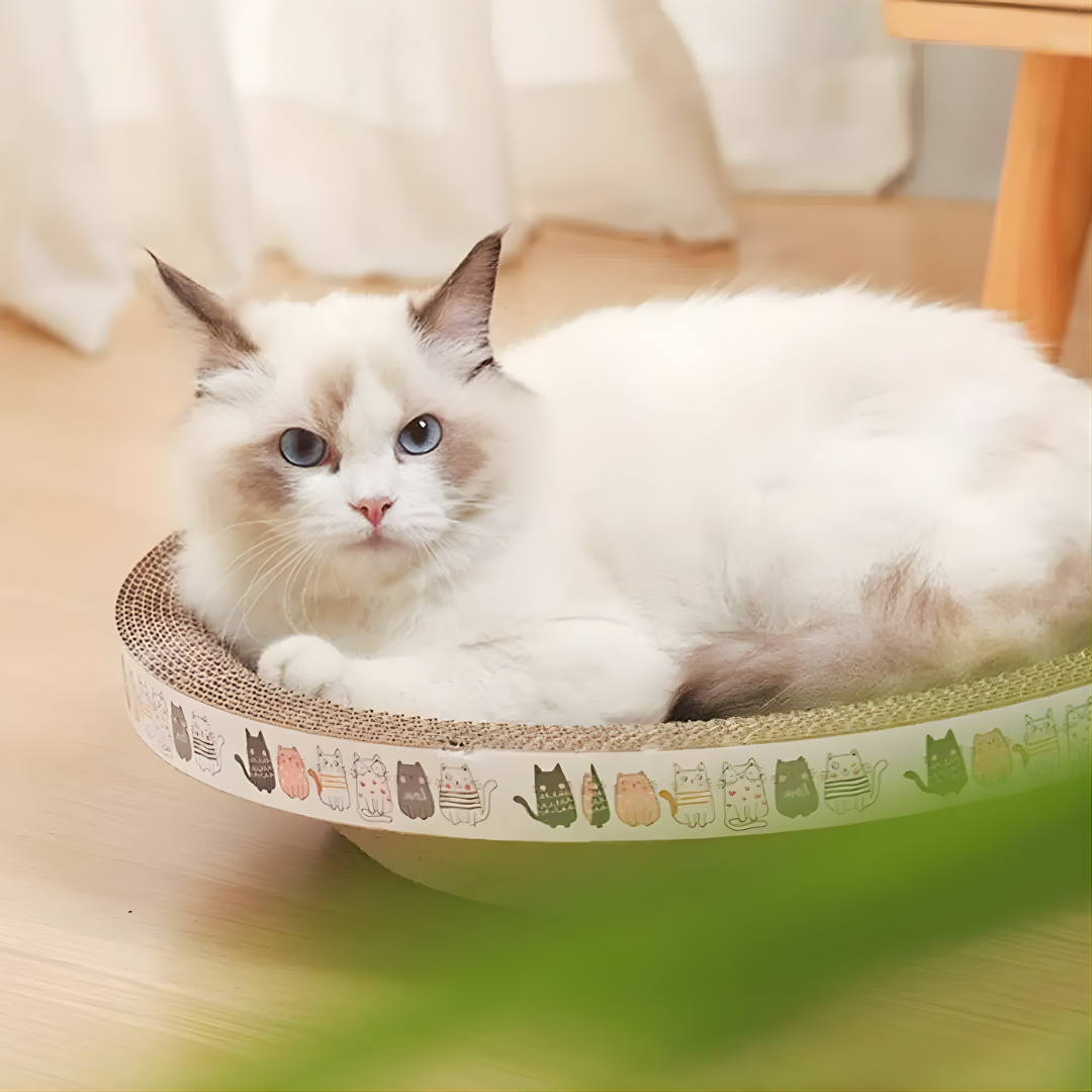 PurrOasis | Cardboard Cat Scratcher Bed