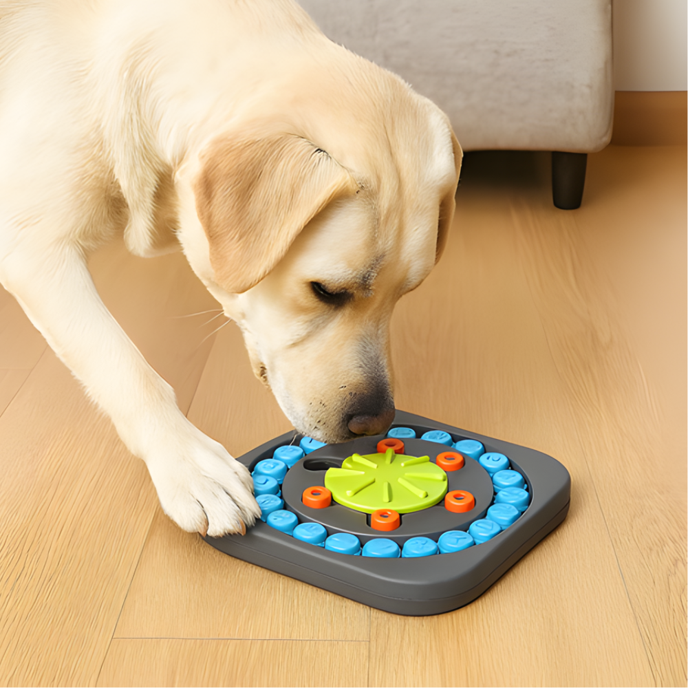 PuzzleBowl │ Interactive Slow Eating Dog Puzzle Tray