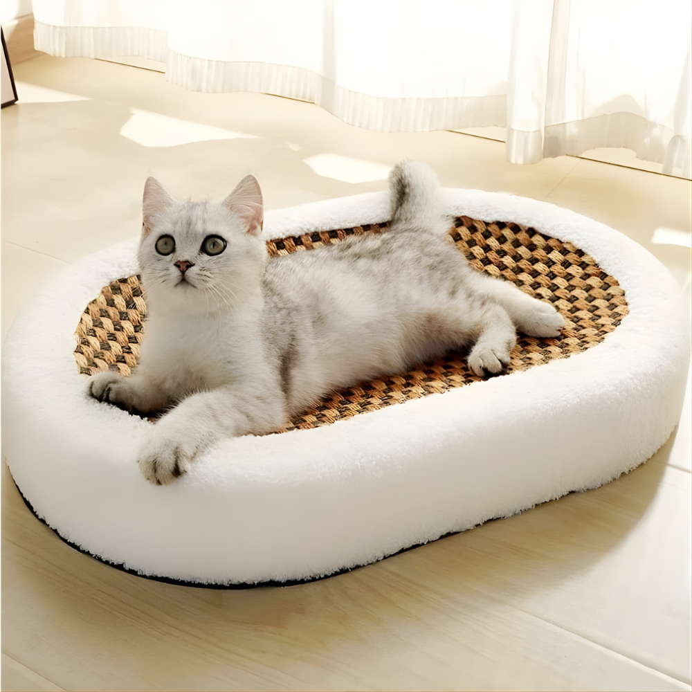 ScratchNest | Cat Scratch Bed