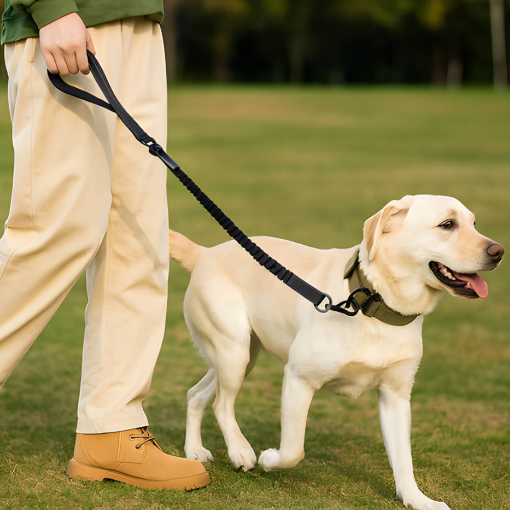 SecureStride │ Heavy Duty Dog Leash with Car Seatbelt Clip