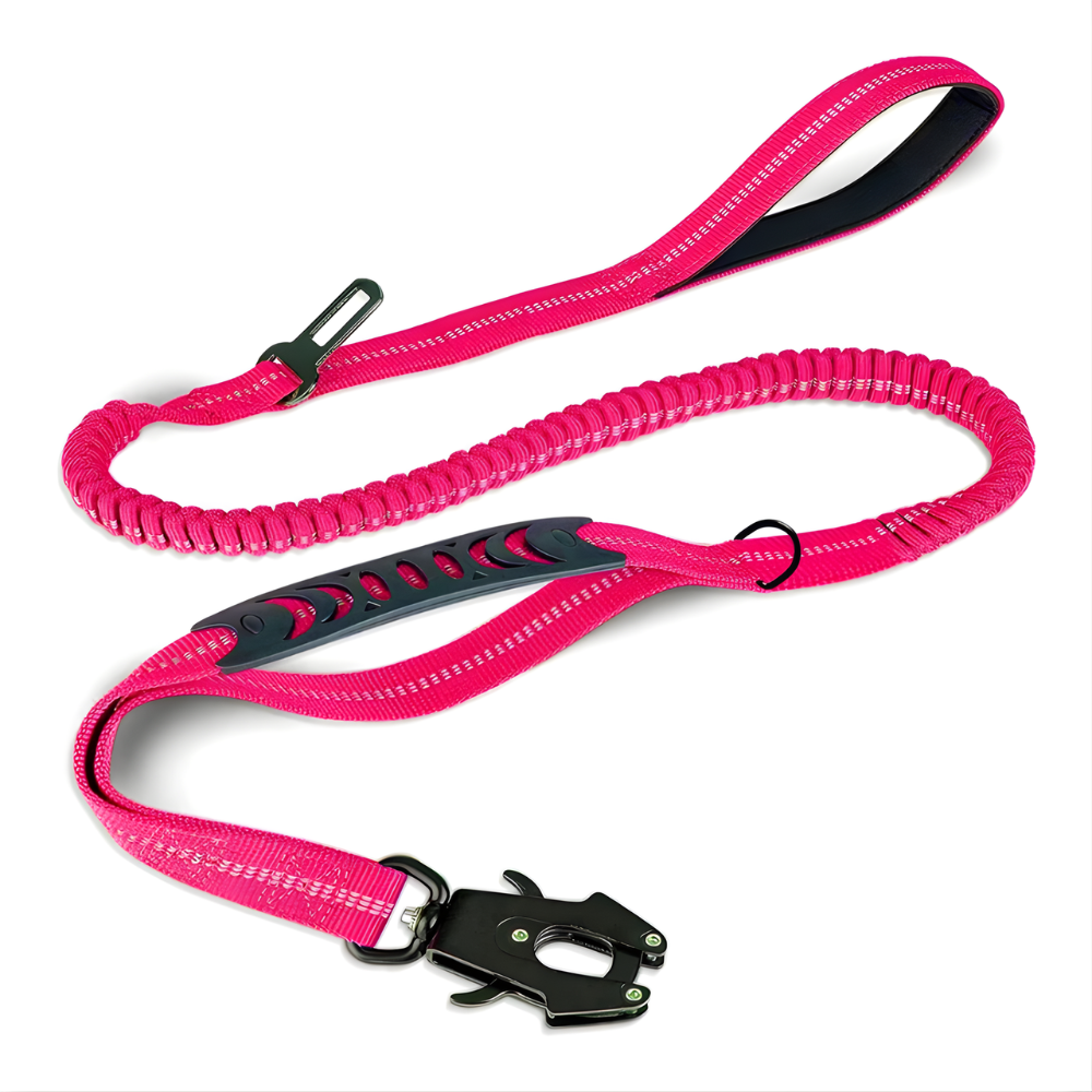 SecureStride │ Heavy Duty Dog Leash with Car Seatbelt Clip