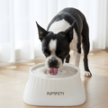 SplashGuard │ Dog Water Dispenser