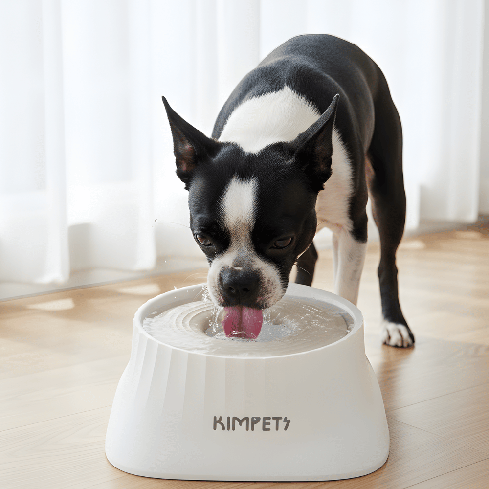 SplashGuard │ Dog Water Dispenser