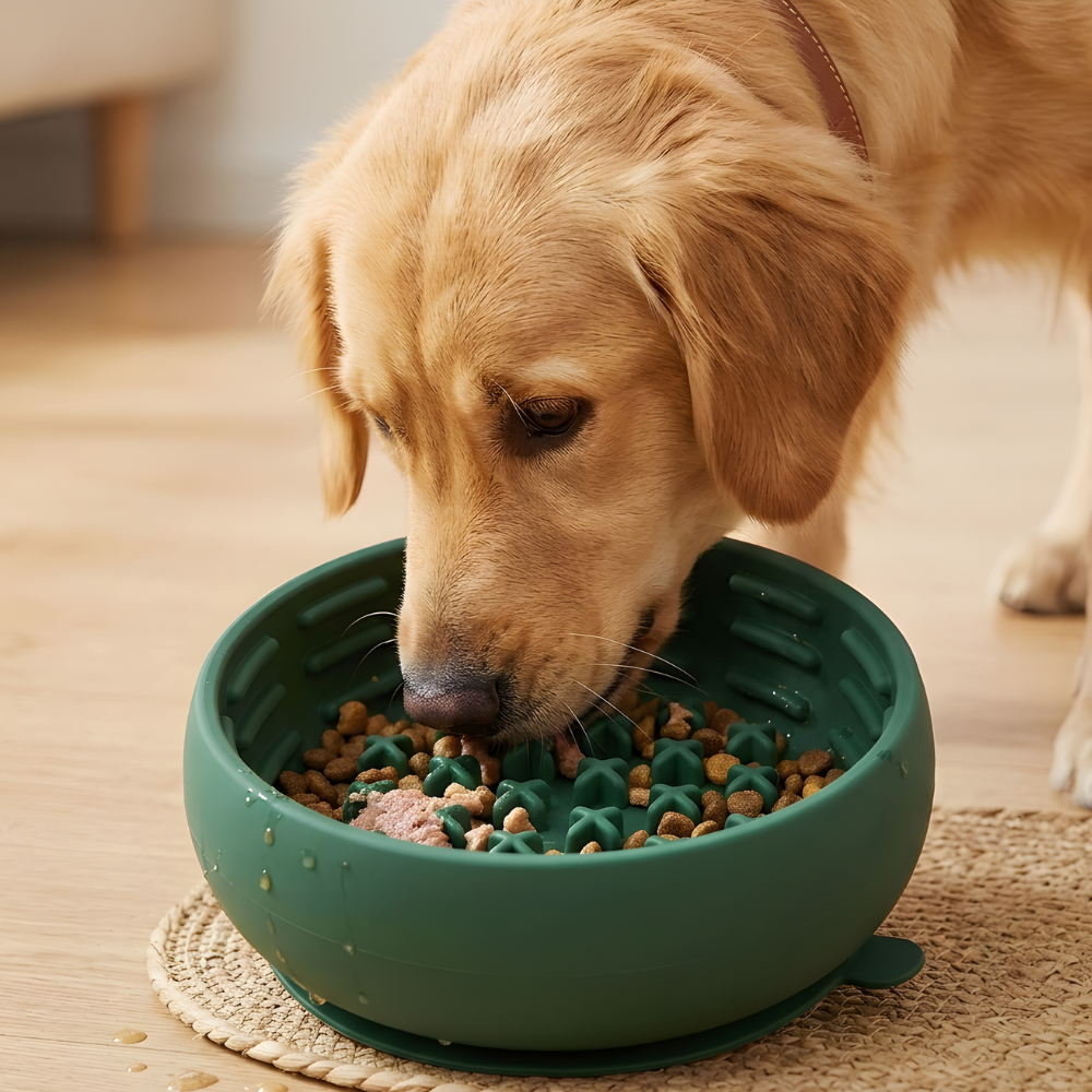 SteadyBite │ Silicone Slow Feed Dog Bowl