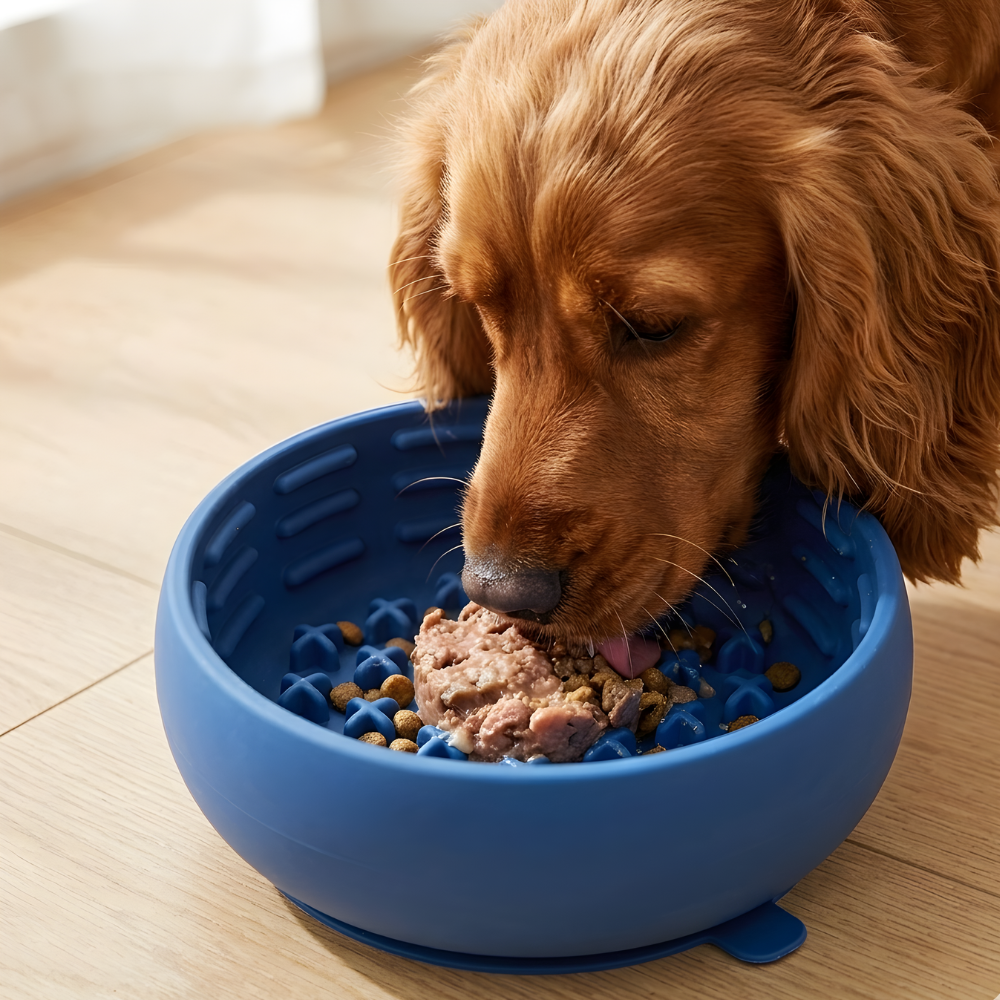 SteadyBite │ Silicone Slow Feed Dog Bowl