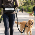StrideLink │ Hands Free Bungee Dog Leash