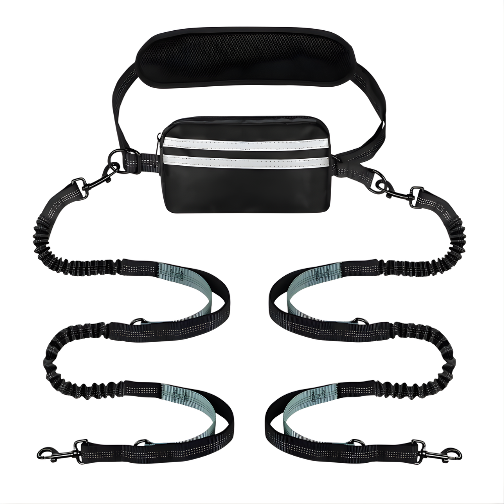 StrideLink │ Hands Free Bungee Dog Leash