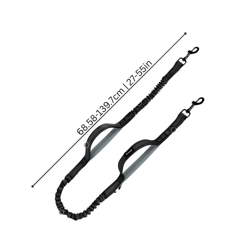 StrideLink │ Hands Free Bungee Dog Leash
